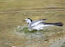 rua口小日童罢的个人空间-九游会入口